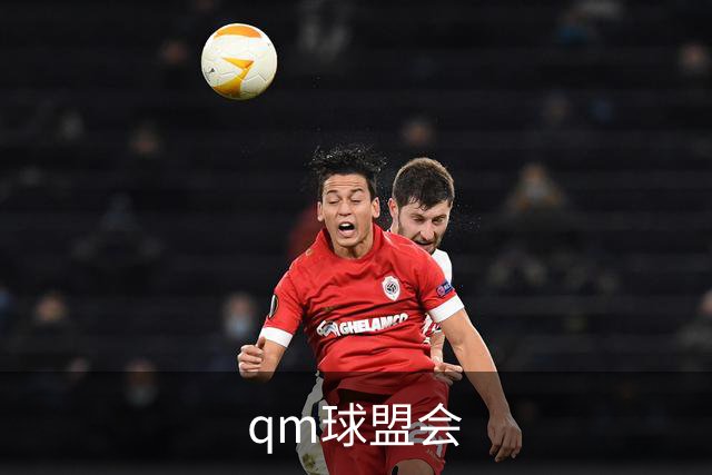 qm球盟会公司介绍图